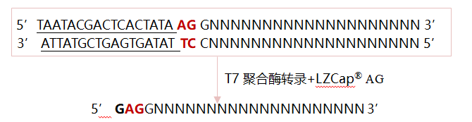 2222.png